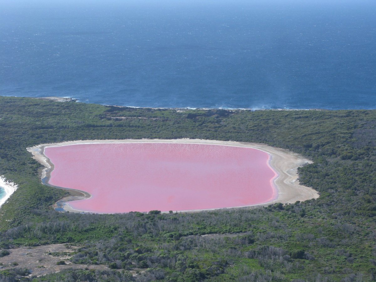Lago Hillier: Der rosa See in Westaustralien - Lago Hillier | Secret World Trip Planner