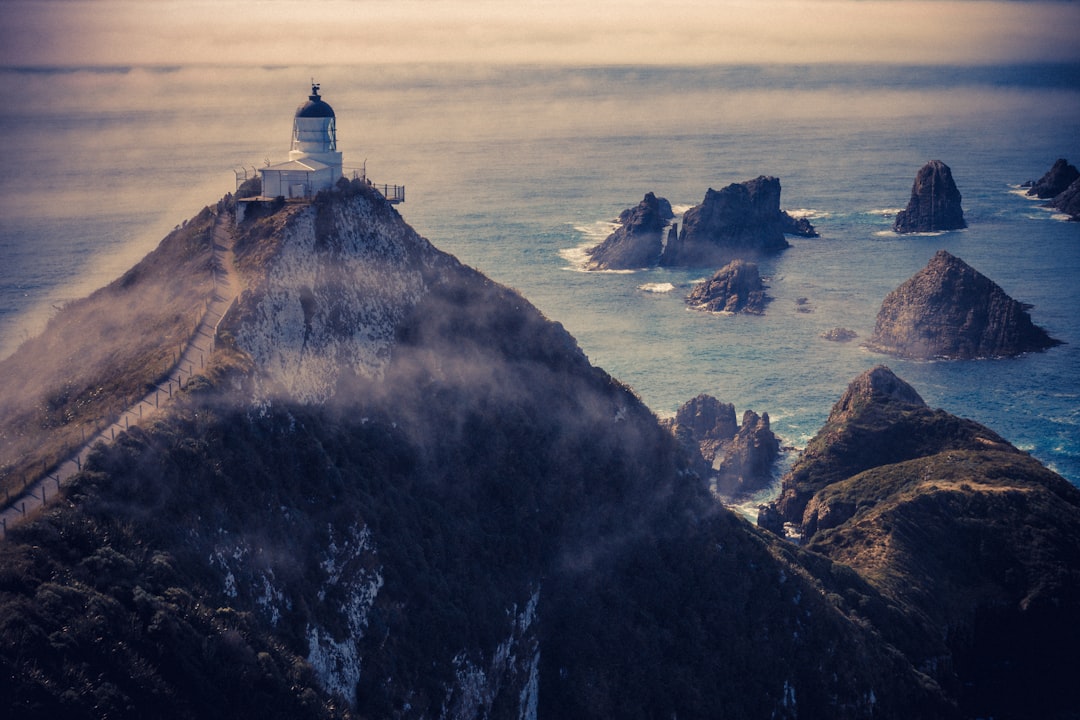 Nugget Point: il faro selvaggio dei Catlins - The Nuggets Road | Secret World Trip Planner
