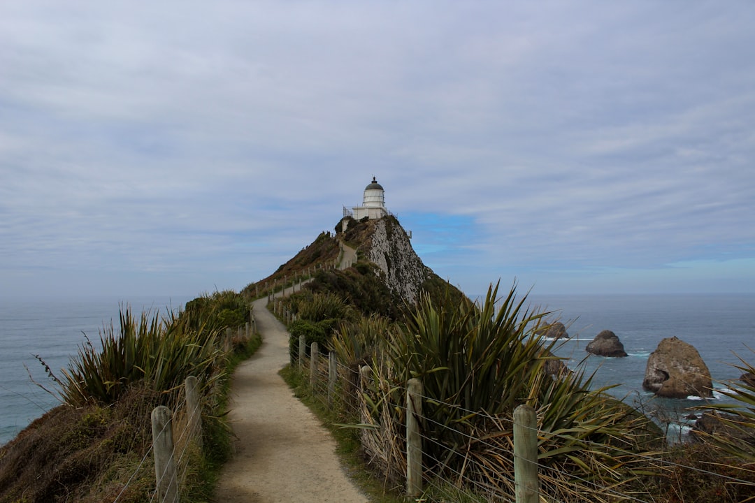 Nugget Point: il faro selvaggio dei Catlins - The Nuggets Road | Secret World Trip Planner