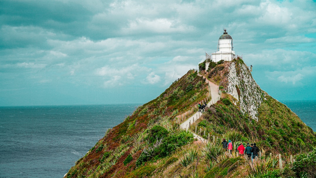 Nugget Point: Der wilde Leuchtturm der Catlins - The Nuggets Road | Secret World Trip Planner
