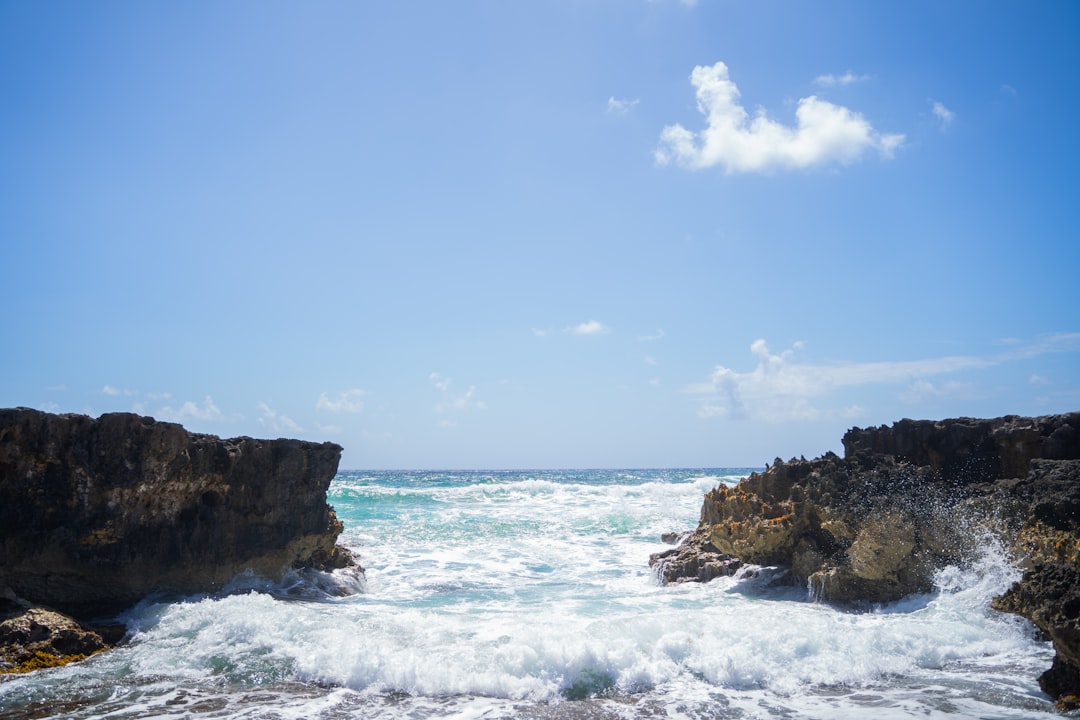 Punta Sur: la punta selvaggia di Cozumel - 77600 Cozumel | Secret World Trip Planner