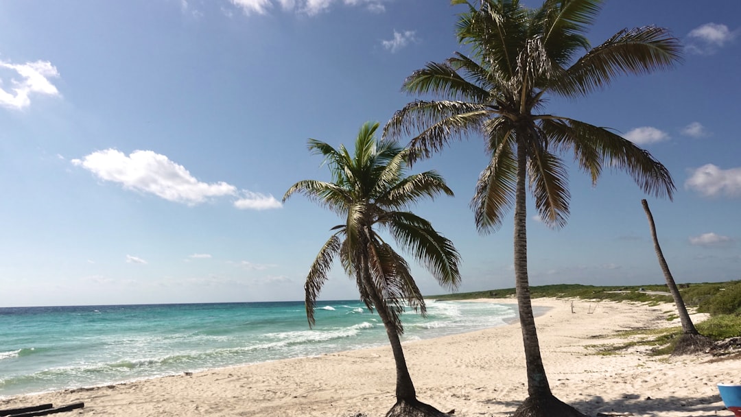 Punta Sur: Die wilde Spitze von Cozumel — 77600 Cozumel