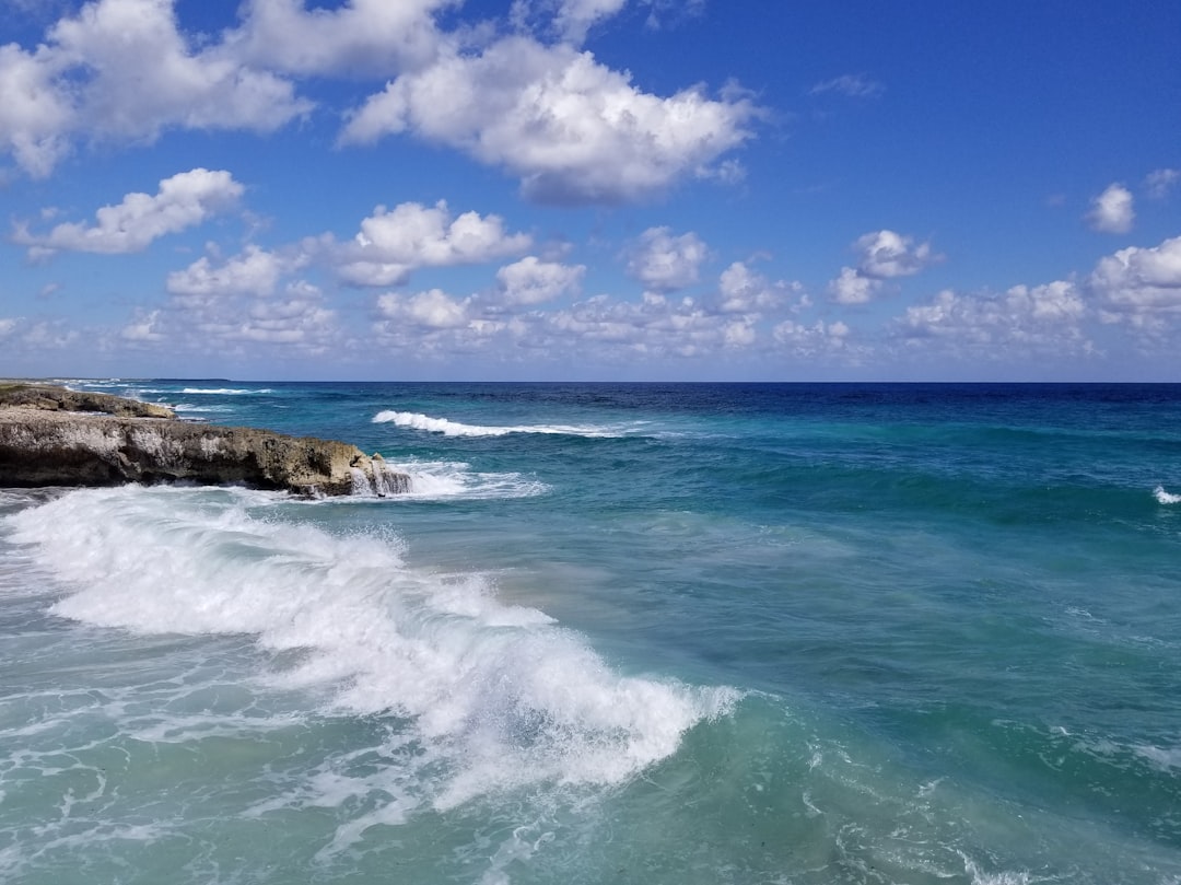 Punta Sur : la nature sauvage de Cozumel - 77600 Cozumel | Secret World Trip Planner