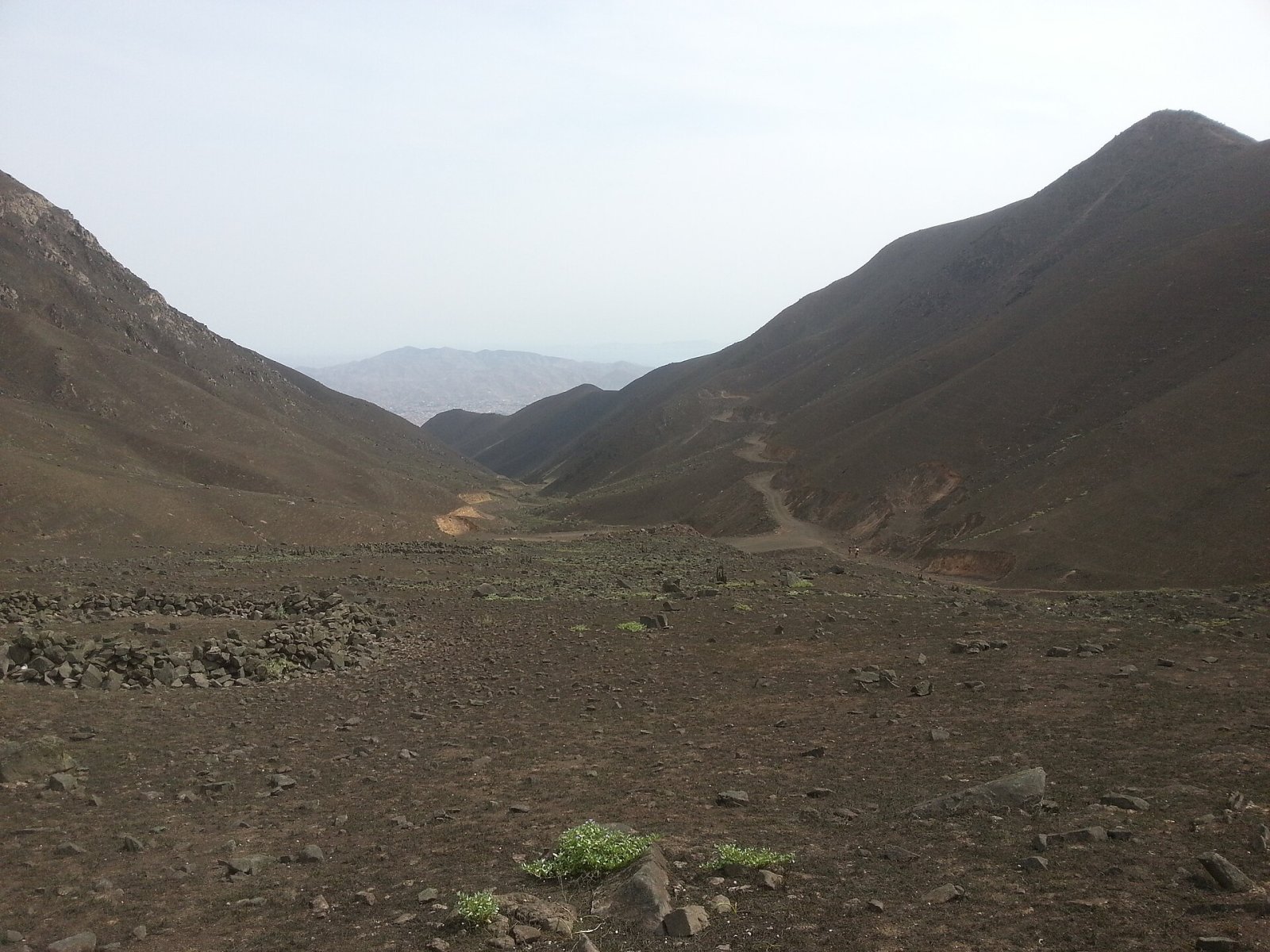 Descubra Loma Zapallal: Um Paraíso Natural no Peru - Cabo Inga | Secret World Trip Planner