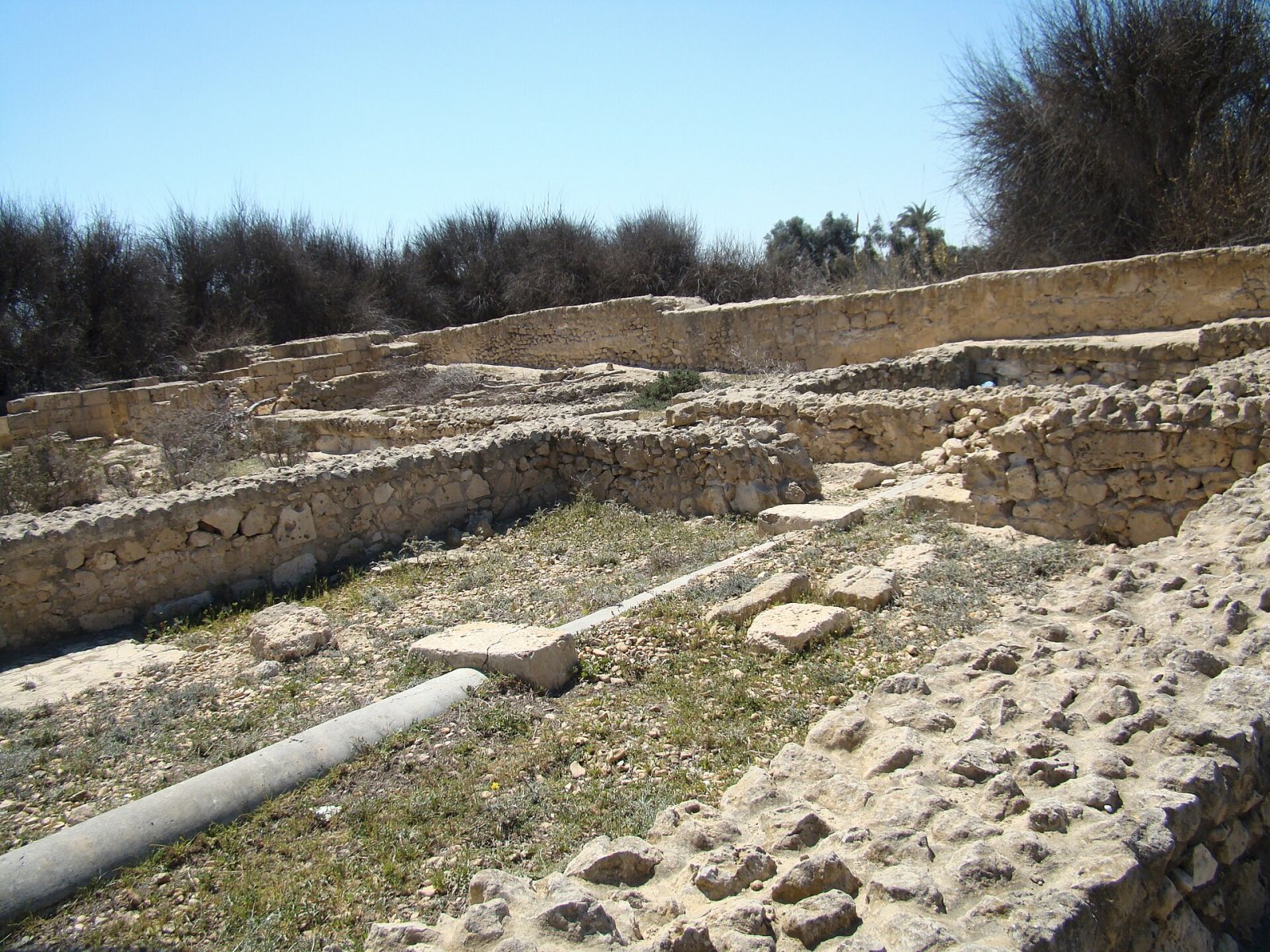 Exploring Marea: An Archaeological Gem in Egypt - Second Al Amreya | Secret World Trip Planner
