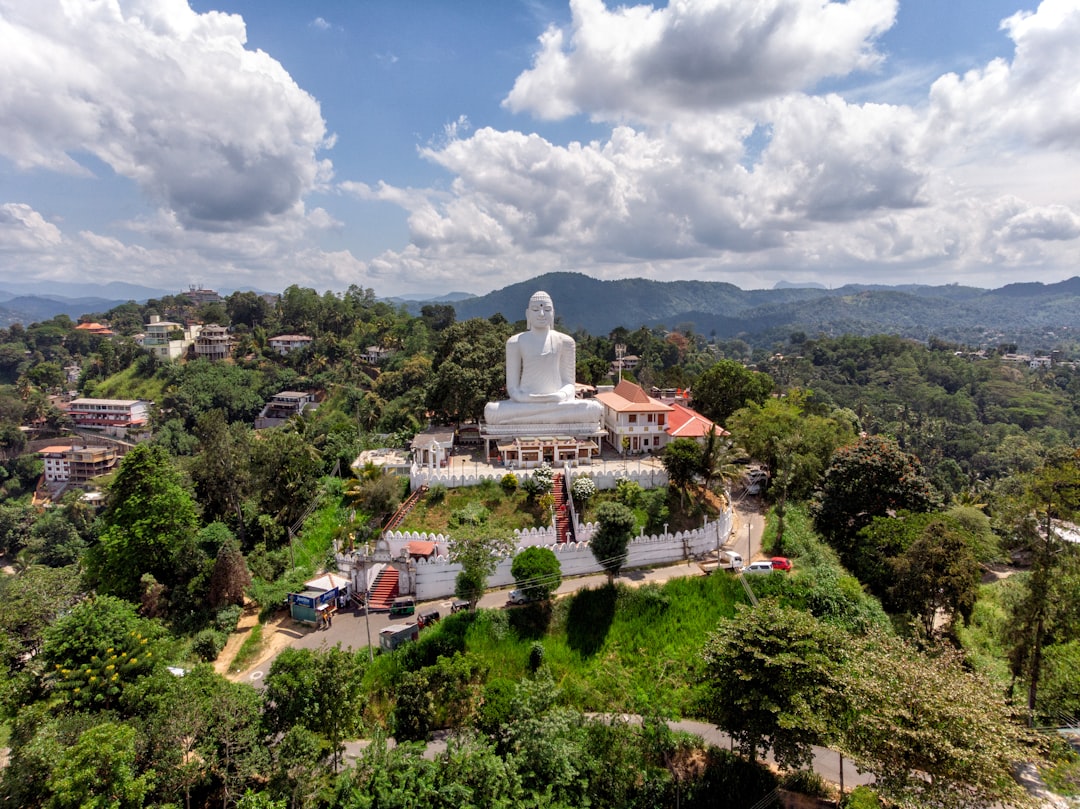 Maligawila Buddha Statue: un capolavoro della storia dello Sri Lanka - Okkampitiya | Secret World Trip Planner