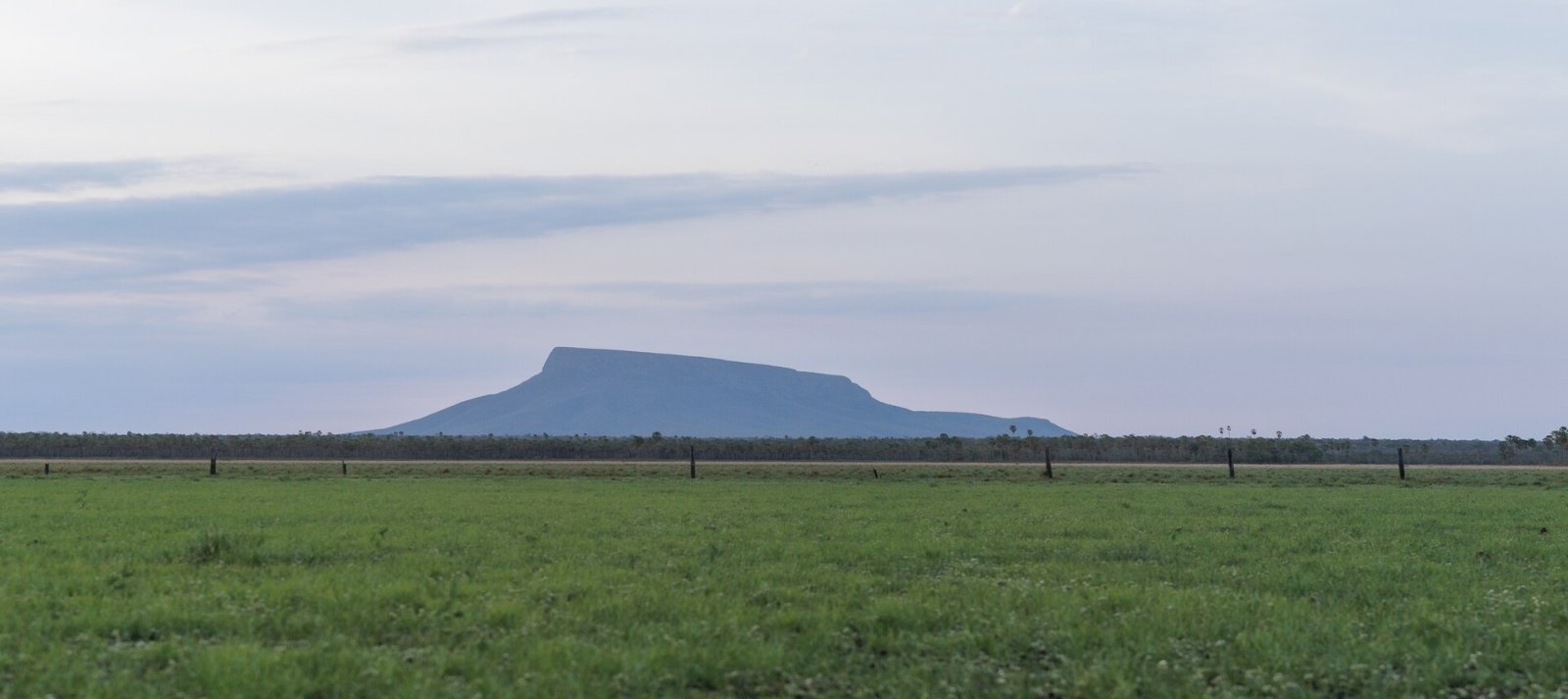 Cerro San Miguel: un rincón de naturaleza virgen en Bolivia - Calacruz | Secret World Trip Planner