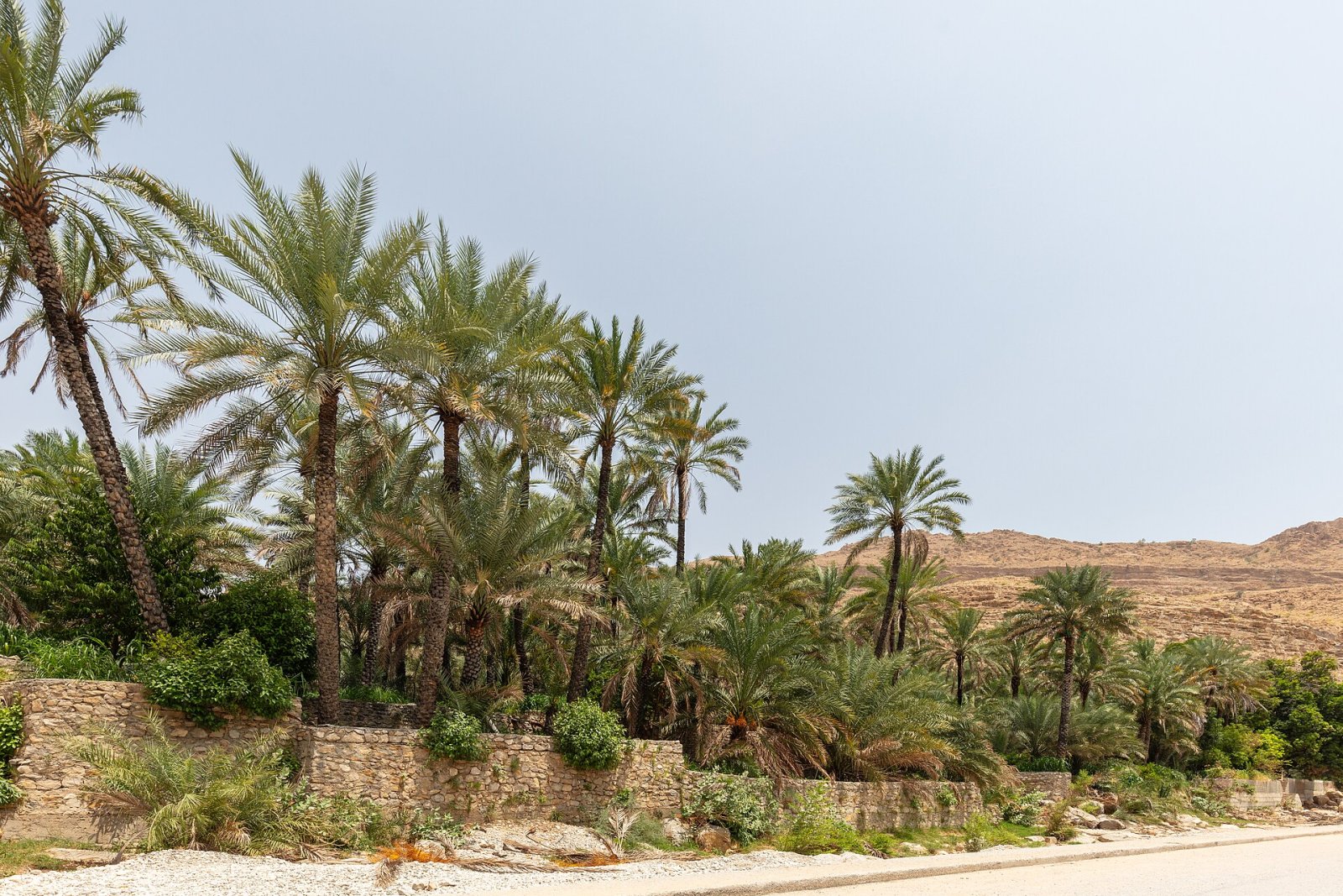 Discover the Wadis of Oman: A Journey Through Nature and Adventure - حلوف ومسحيلة | Secret World Trip Planner