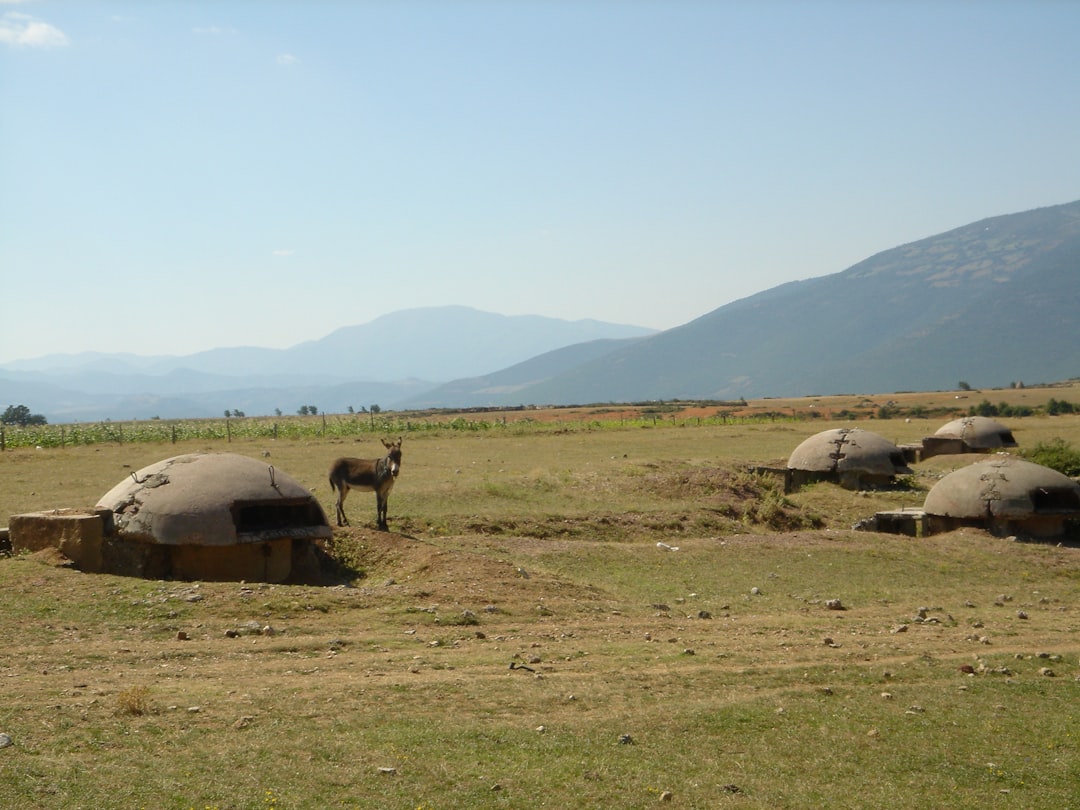 Descubriendo el Bunker: Historia y Cultura en Albania — Tiranë