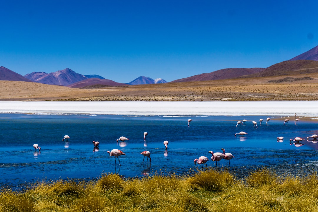 Discover the Chiquitana Family: A Cultural Treasure of Bolivia - Santa Cruz de la Sierra | Secret World Trip Planner