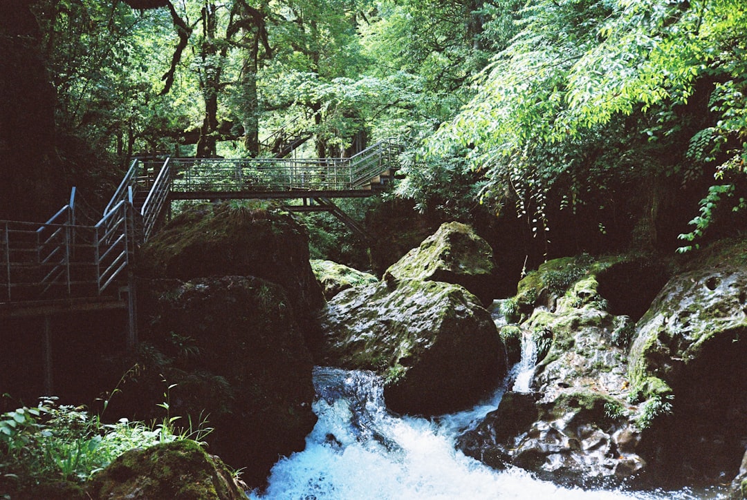 Vintgar Gorge: Wild Nature Near Bled, Slovenia - Podhom 80 | Secret World Trip Planner