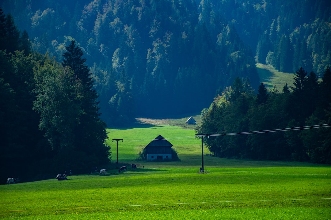 Vršič Pass: Stunning Views of Slovenia's Julian Alps - Kranjska Gora- Vršič | Secret World Trip Planner