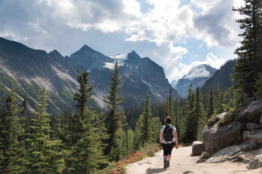 Kananaskis Trail: sentieri alpini tra orsi e laghi - Kananaskis | Secret World Trip Planner