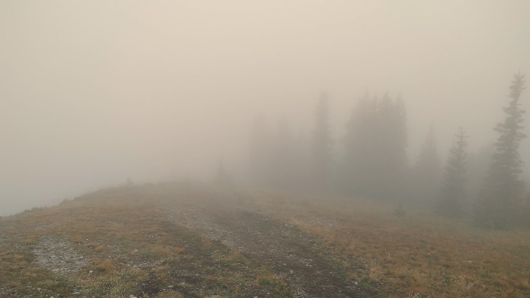 Kananaskis Trail: Alpenwege zwischen Bären und Seen - Kananaskis | Secret World Trip Planner