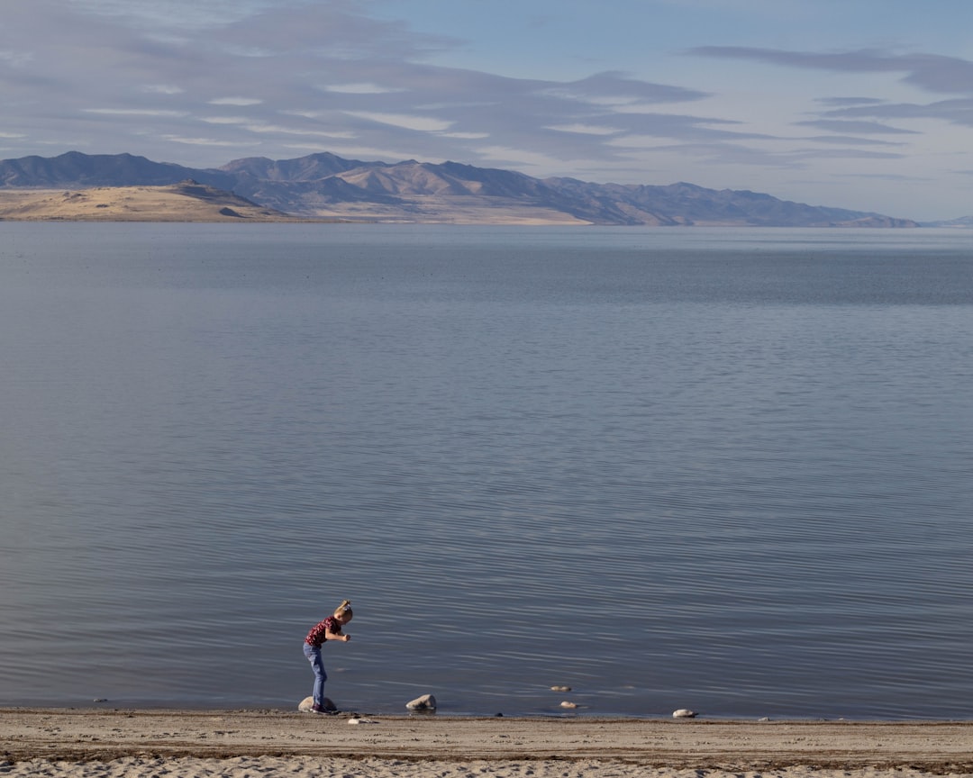 Antelope Island Trails: Bison and Pink Waters of Great Salt Lake - Syracuse | Secret World Trip Planner