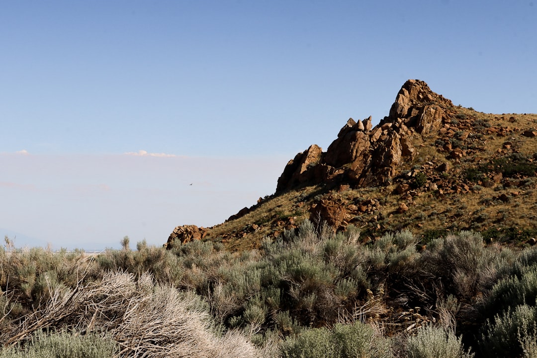 Antelope Island Trails: Bison and Pink Waters of Great Salt Lake - Syracuse | Secret World Trip Planner