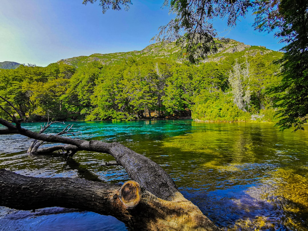Gruta do Lago Azul: il lago sotterraneo di Bonito - MS | Secret World Trip Planner