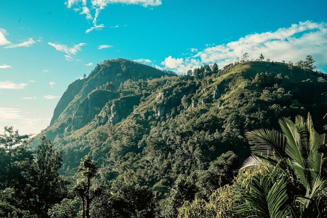 Pico do Pequeno Adam: panoramas ao amanhecer em Ella - Ella | Secret World Trip Planner
