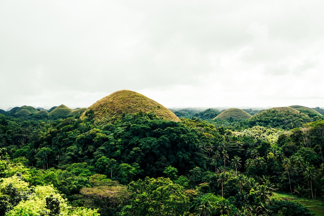 Schokoladenhügel in Bohol: Die Aussicht auf die Kegelberge - Carmen | Secret World Trip Planner