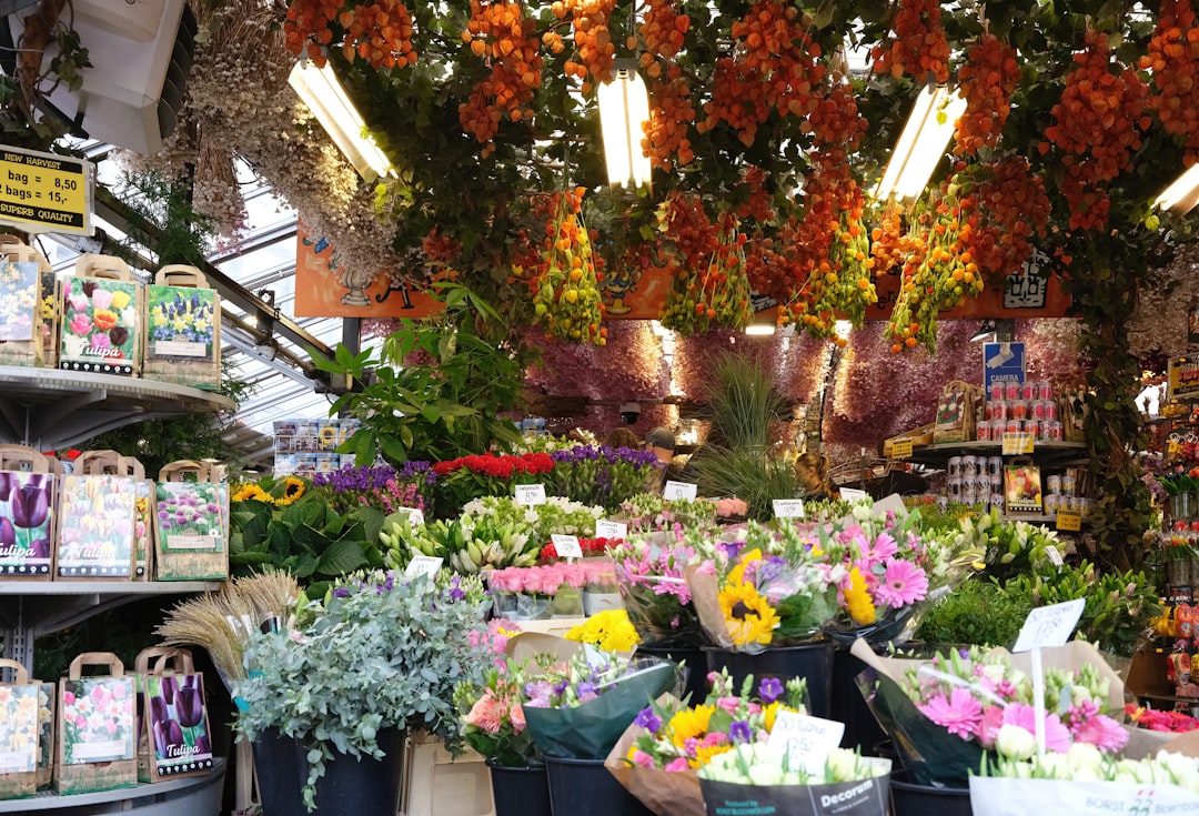 Bloemenmarkt di Amsterdam: il mercato galleggiante dei tulipani - Singel 630 | Secret World Trip Planner