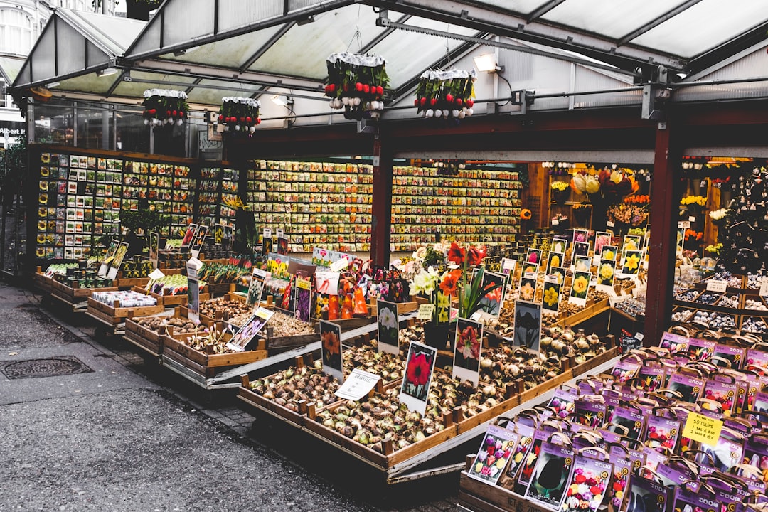 Amsterdam Flower Market: The Floating Tulip Market - Singel 630 | Secret World Trip Planner
