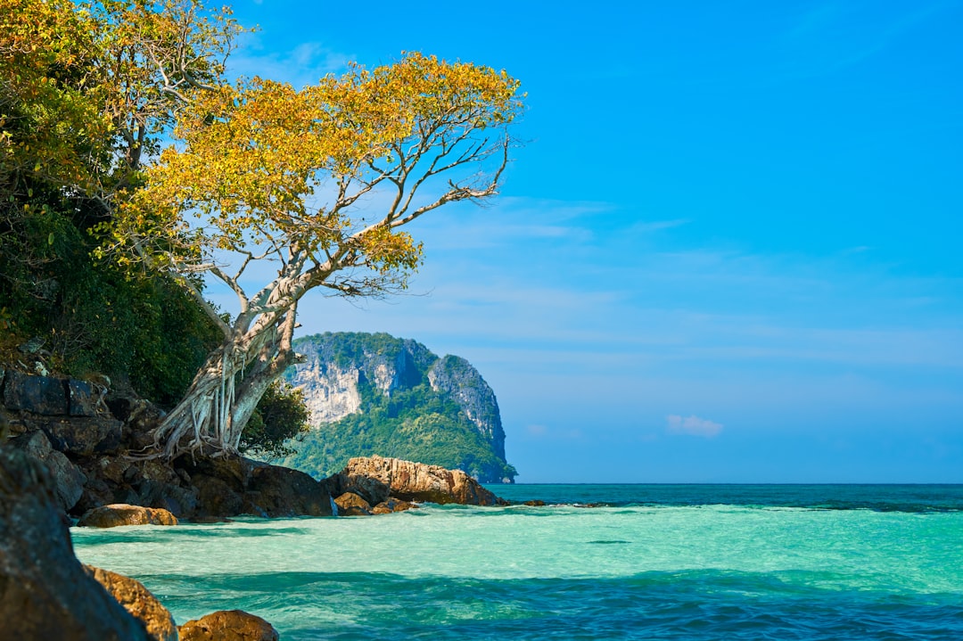 Discover Khao Khiao: A Natural Paradise in Thailand - Pak Phli District | Secret World Trip Planner