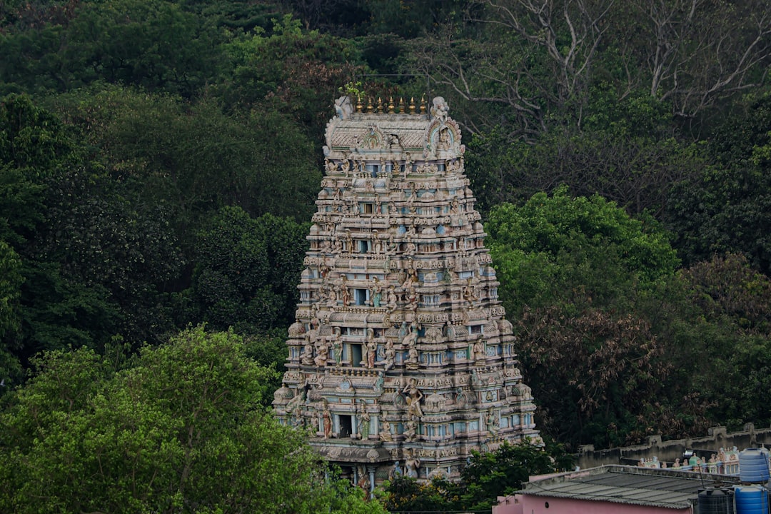 Kapaleeshwarar Temple: Sacred Sculptures in Chennai - Chennai | Secret World Trip Planner