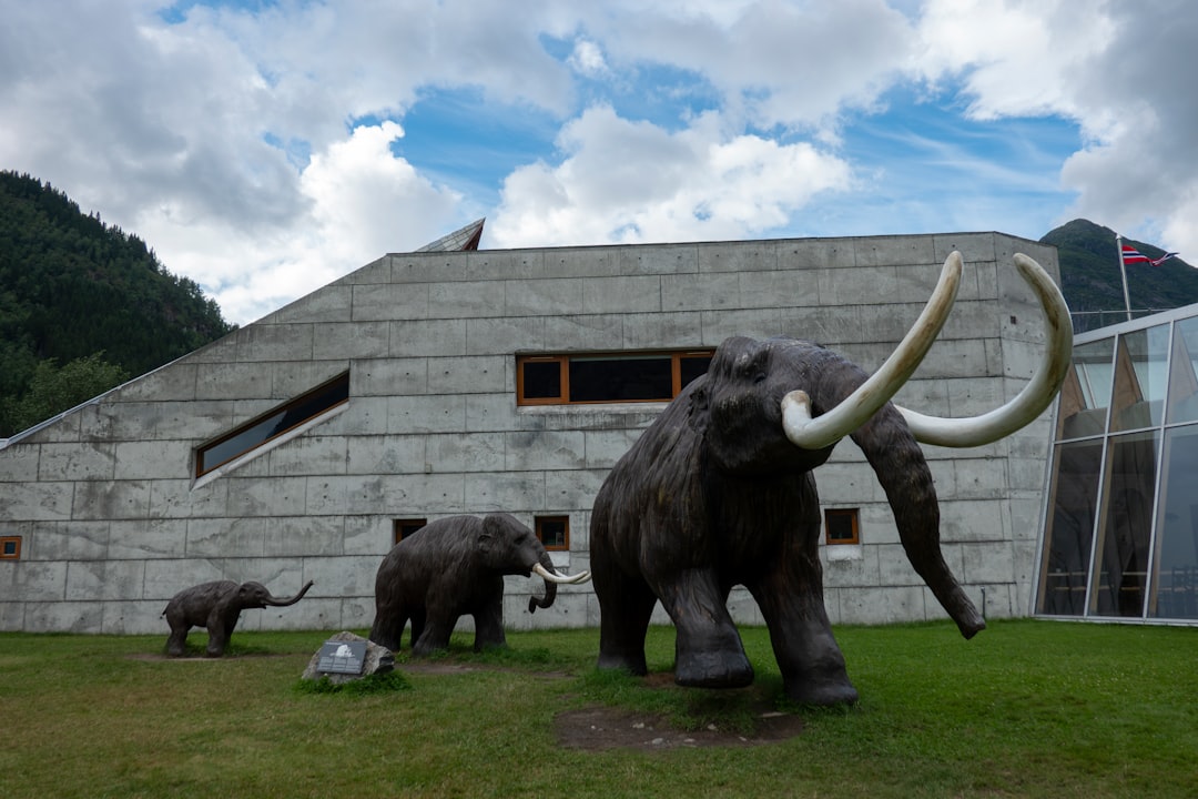 Гёреме: скальные церкви и византийские фрески в Каппадокии — İsali - Gaferli - Avcılar