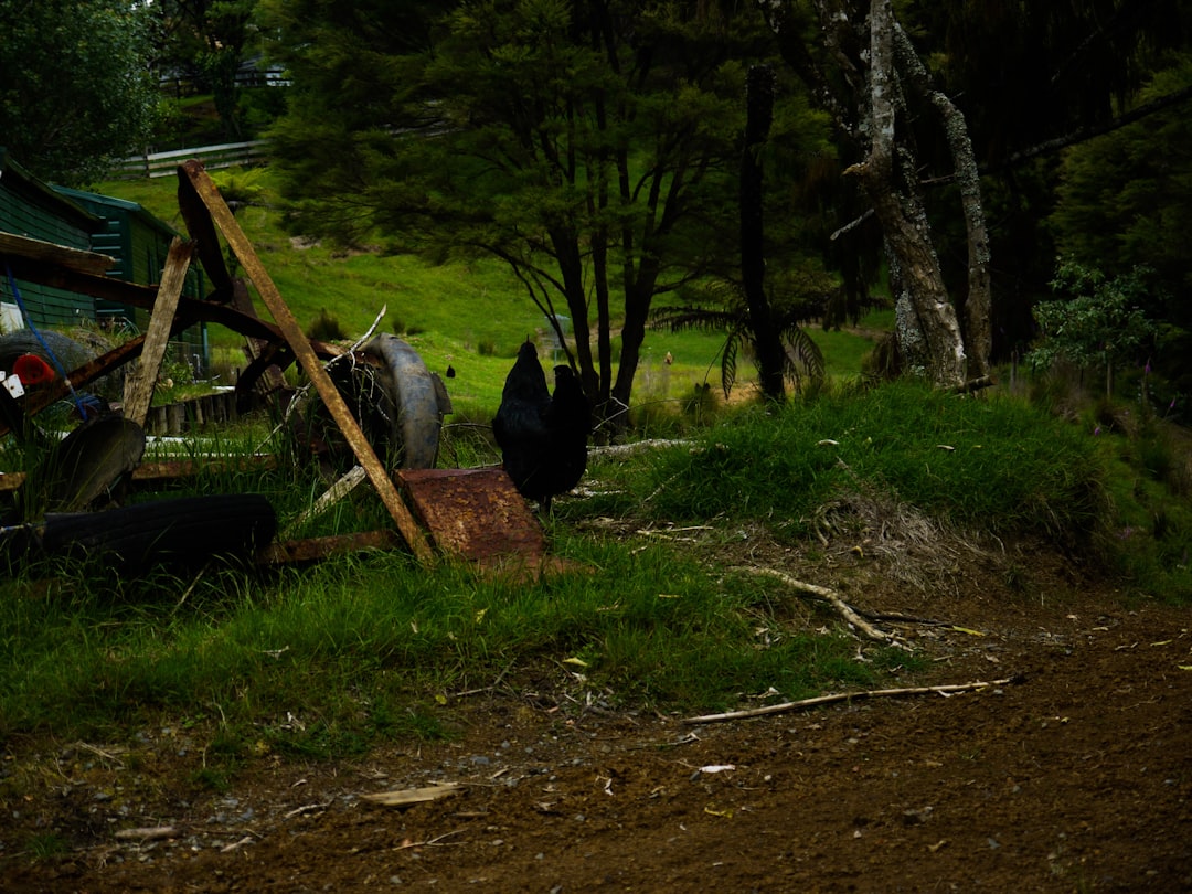 Polloquere Hot Springs: Soak at 4,200m Among Flamingos - Putre | Secret World Trip Planner