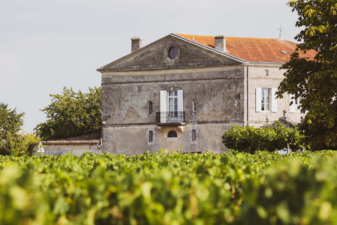 Château Ksara: Weine und Weinkeller im Libanon — Ksara