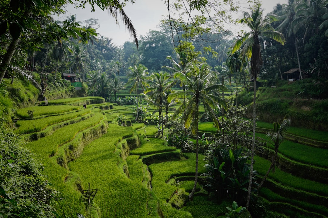 Wanderlog avis 2026 : est-ce vraiment efficace à Bali ? - Bali | Secret World Trip Planner