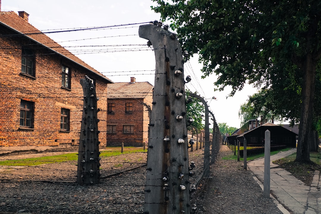 Auschwitz-Birkenau: visita al memoriale della Shoah - Więźniów Oświęcimia 55 | Secret World Trip Planner