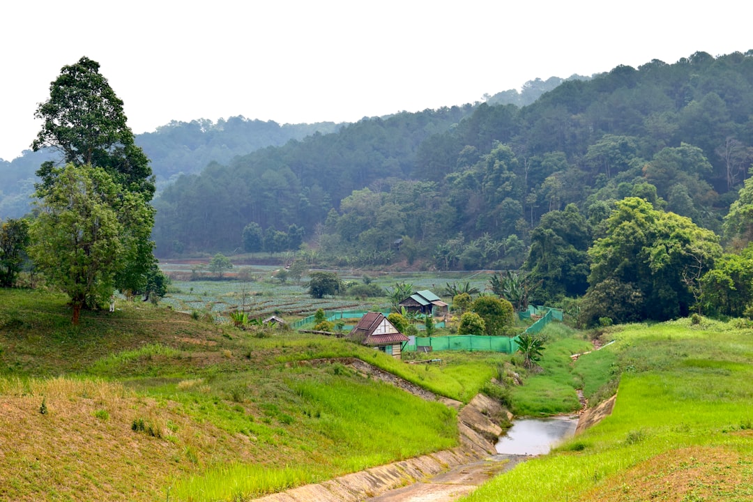 Doi Inthanon: sentieri tra foreste e pagode reali - Distretto di Mae Chaem | Secret World Trip Planner