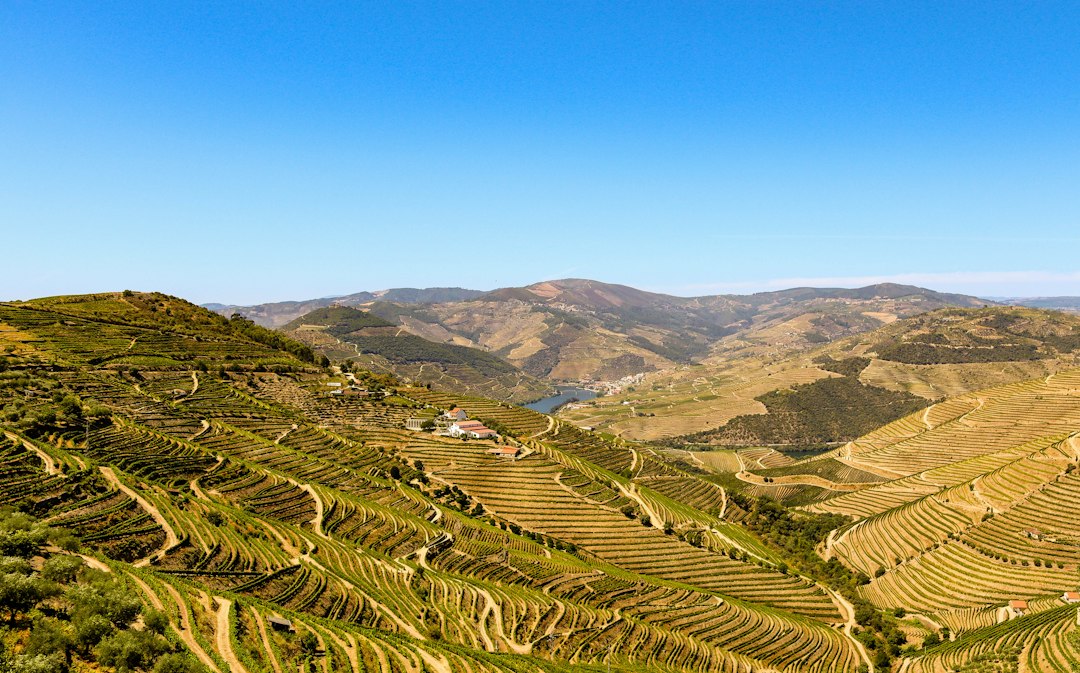 Douro Wines: Discover Porto Valley in Peso da Régua | Secret World Trip Planner