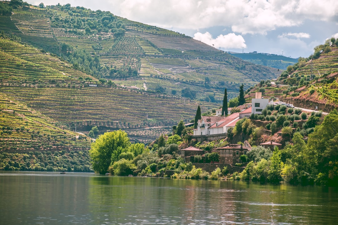Vins du Douro : la vallée du Porto à Peso da Régua