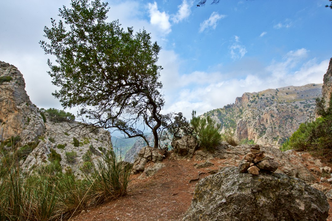 Mirador de ses Puntes: Das geheime Panorama von Valldemossa — 07170 Valldemossa
