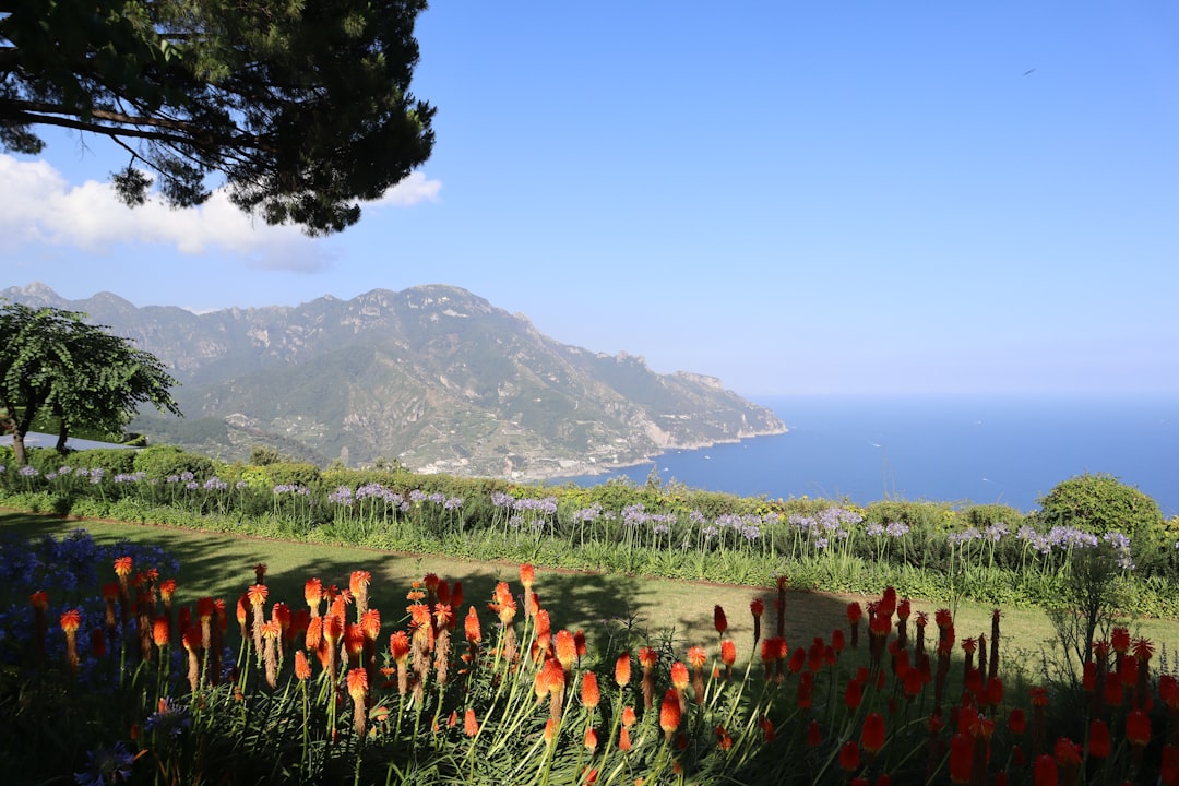 Le Jardin des Tarots : sculptures monumentales à Capalbio - Garavicchio | Secret World Trip Planner