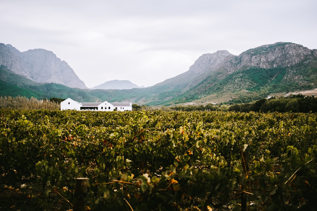 Scopri la House of the Lord in Sudafrica: Cultura e Spiritualità - Benoni | Secret World Trip Planner