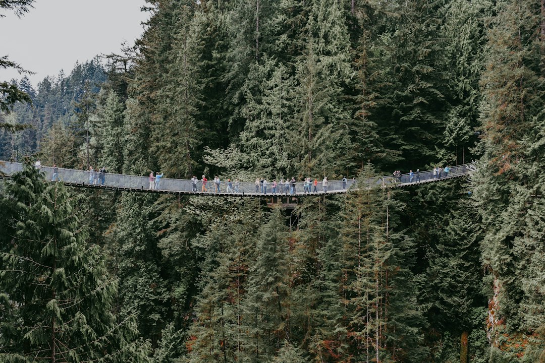 Ponte di Capilano: 70 metri sopra il fiume - North Vancouver | Secret World Trip Planner