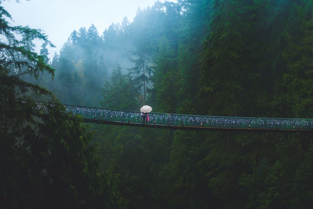 Капилано: 70 метров над рекой - North Vancouver | Secret World Trip Planner