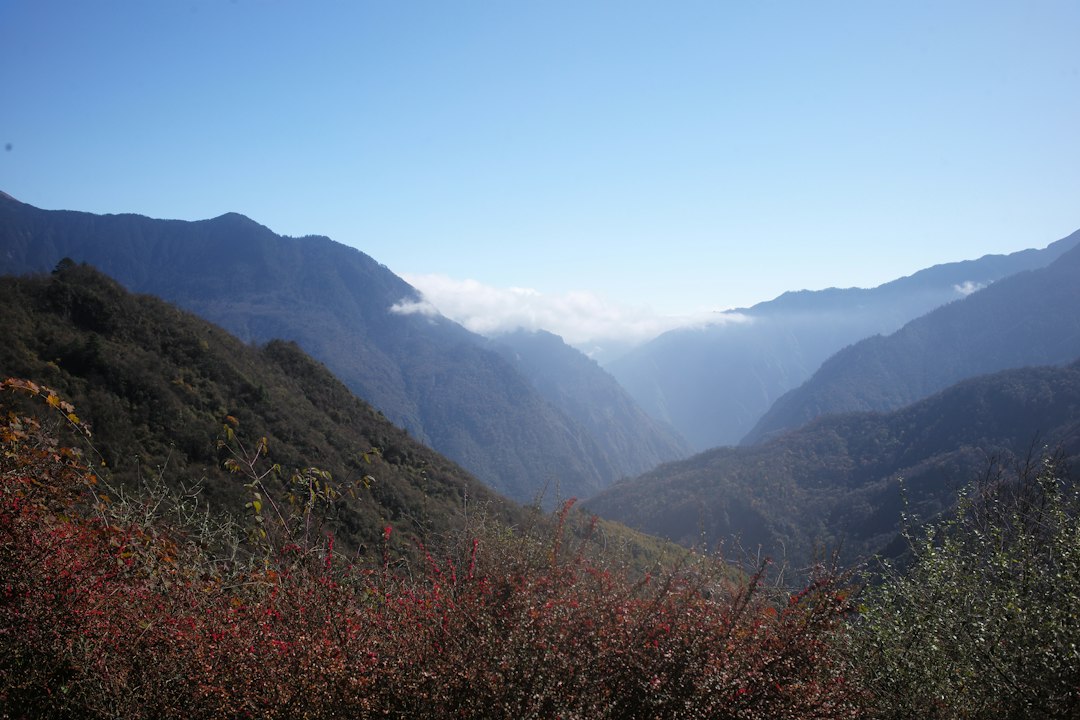 Lushan : les cascades qui ont inspiré les poètes Tang - Jiu Jiang Shi | Secret World Trip Planner