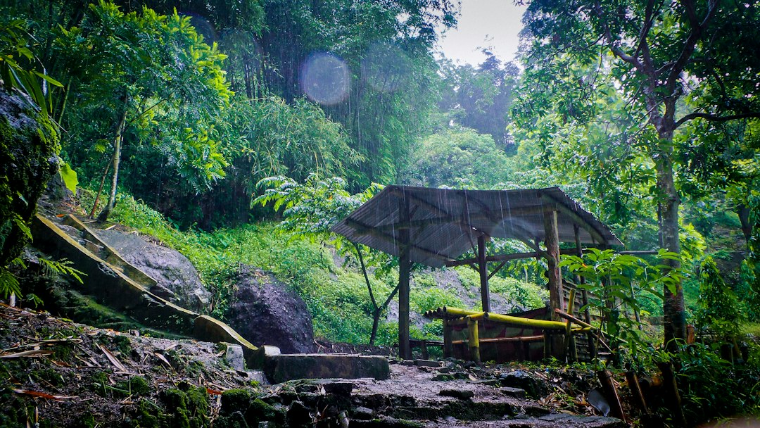 Udawatta Kele: la foresta reale sopra Kandy - Sangamitta Mawatha | Secret World Trip Planner