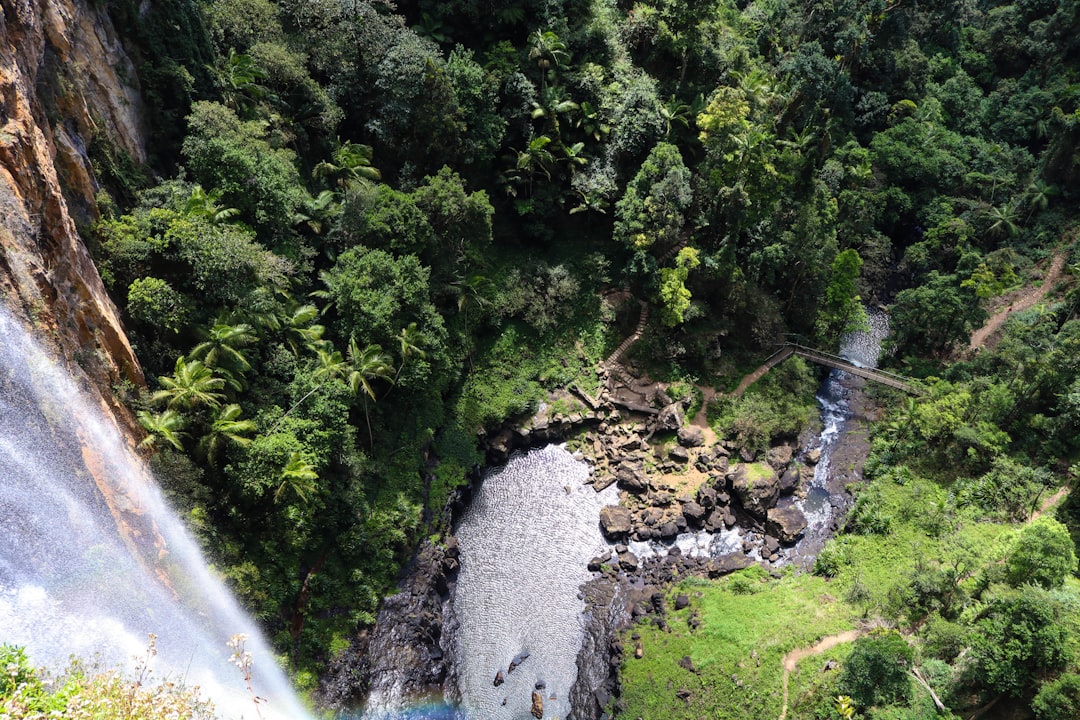 Udawatta Kele: The Royal Forest Above Kandy - Sangamitta Mawatha | Secret World Trip Planner