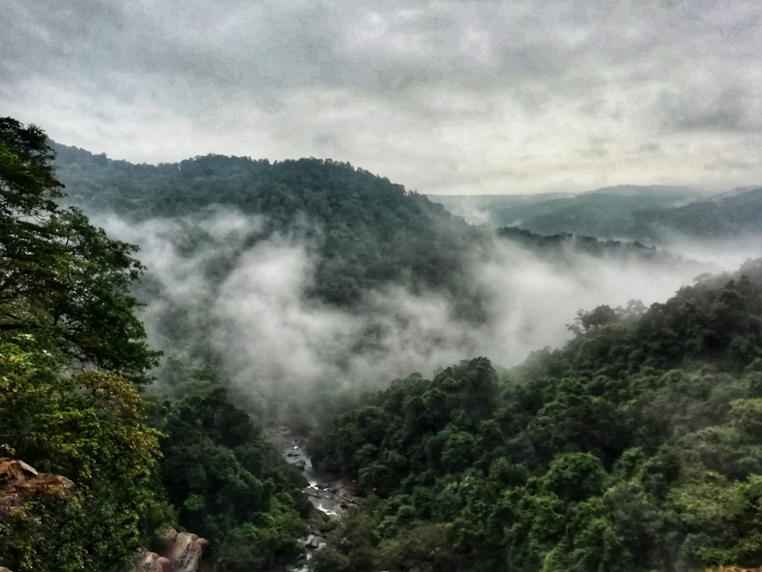 Udawatta Kele: a floresta real acima de Kandy - Sangamitta Mawatha | Secret World Trip Planner