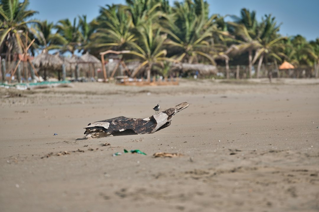 Playa Blanca to Barú: The White Beach of Colombian Caribbean - Cartagena de Indias | Secret World Trip Planner