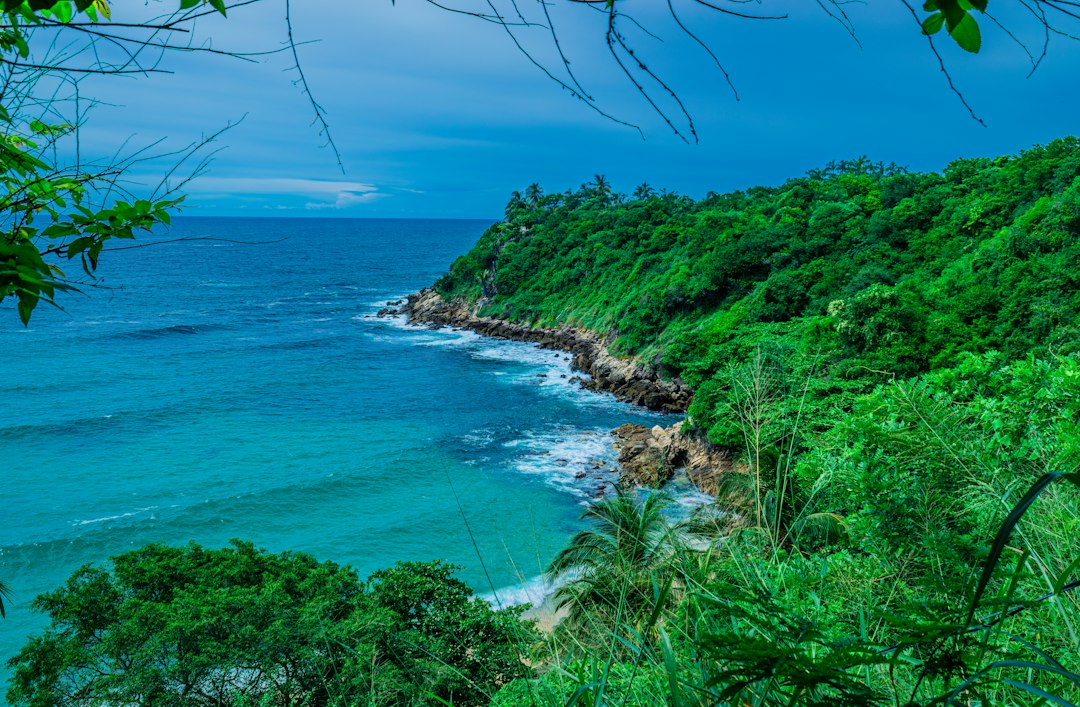 Playa Blanca à Barú : la plage blanche des Caraïbes - Cartagena de Indias | Secret World Trip Planner