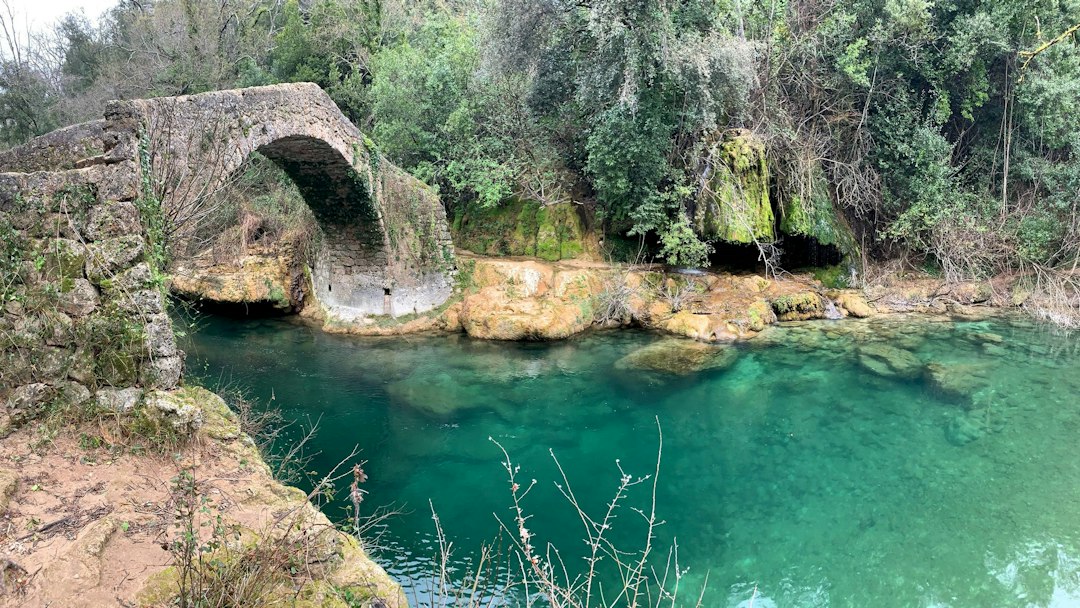 Parco nazionale di Ichkeul: uccelli e natura in Tunisia - 13 P11 | Secret World Trip Planner