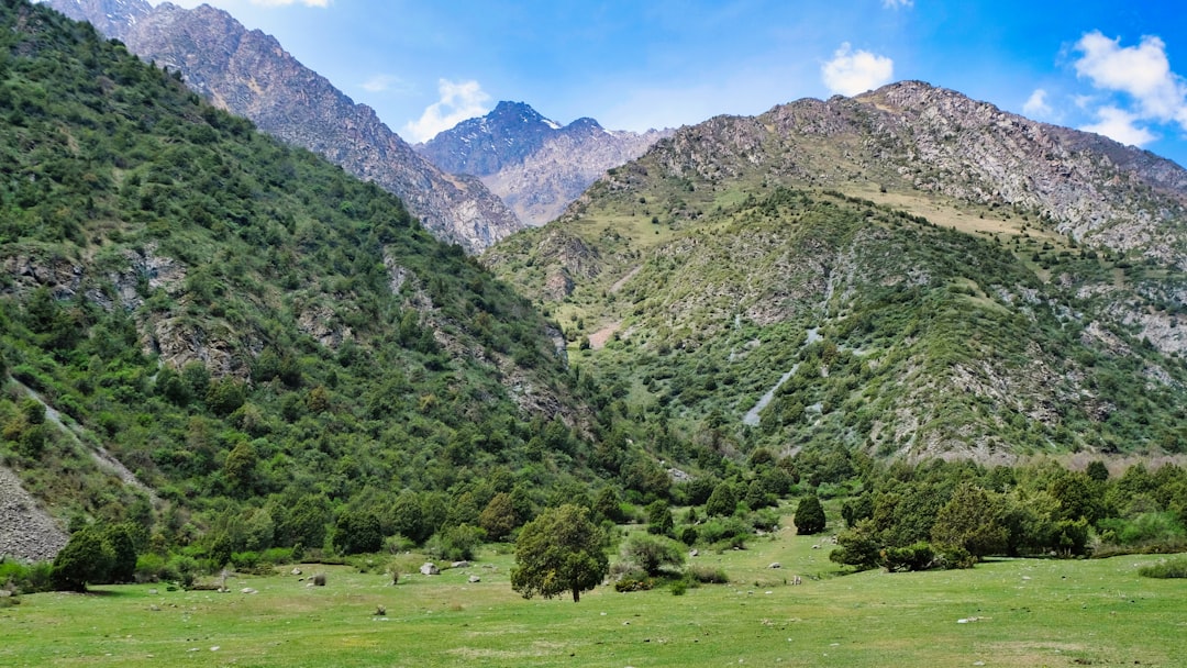 Parco nazionale di Ichkeul: uccelli e natura in Tunisia - 13 P11 | Secret World Trip Planner
