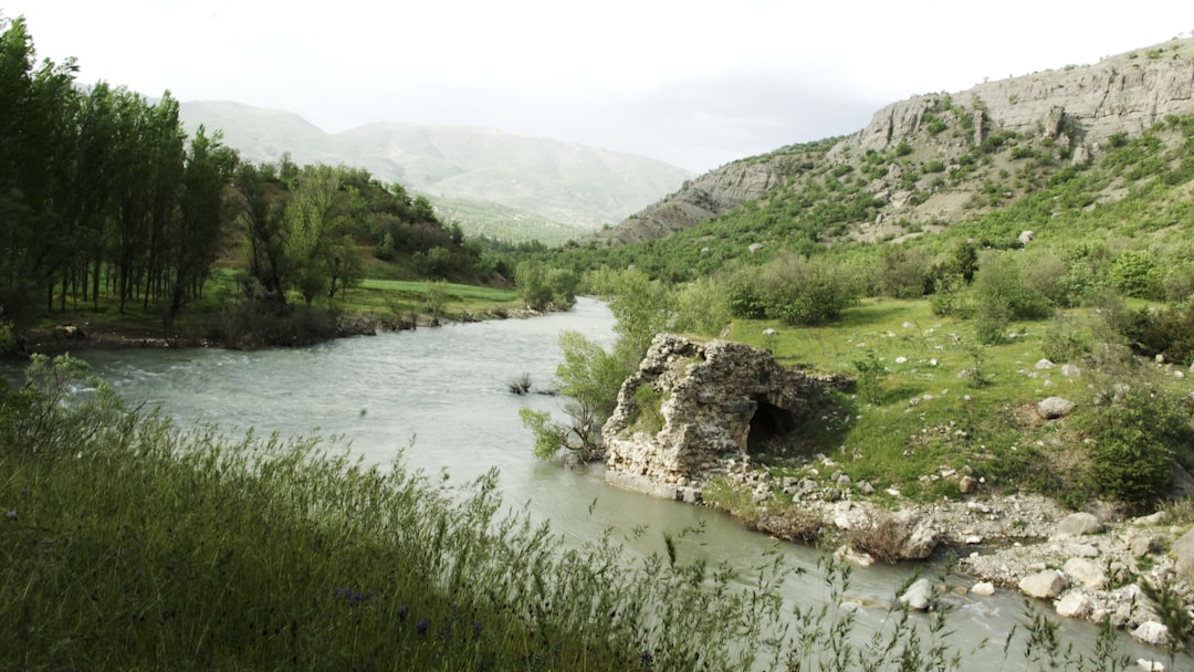 Ichkeul National Park: Birds and Nature in Tunisia - 13 P11 | Secret World Trip Planner