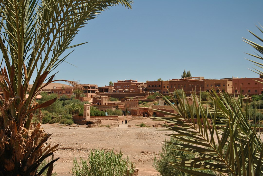 菲基格:摩洛哥的20万棕榈绿洲 - Morocco | Secret World Trip Planner